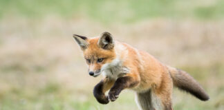 Your Skills and Passions