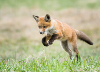 Your Skills and Passions