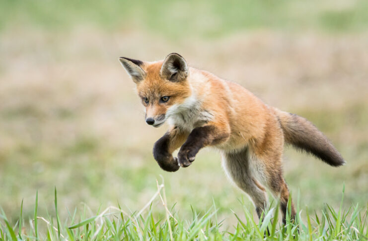 Your Skills and Passions