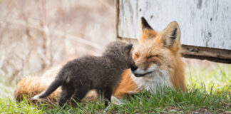 How To Create a Safe Space in Your Class