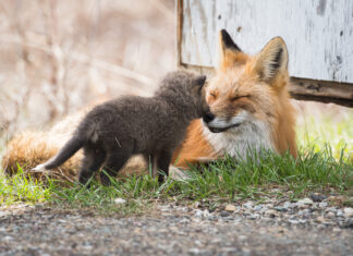 How To Create a Safe Space in Your Class