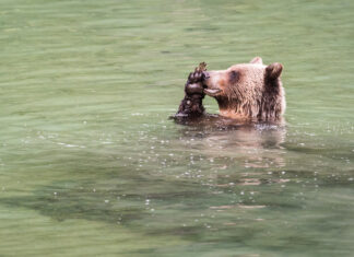 How to Deliver Useful Information When Giving Feedback