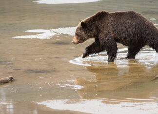 How a multimillion-dollar deal with the Girl Guides solved an Alberta town’s water issues