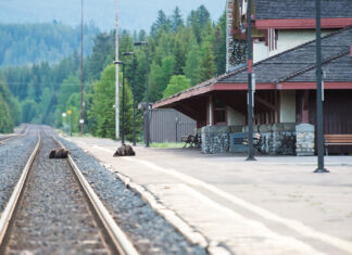 Those who argue we can manage the planet’s ecosystems are flirting with danger. The underlying science doesn’t lie.