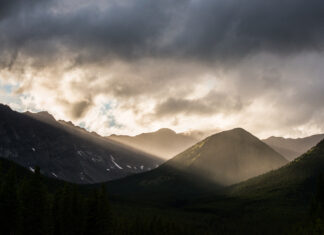 Alberta In Person Experiences