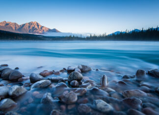 Our national parks need visitors to survive