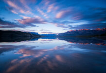 Why petitions are (almost always) a staggering waste of time