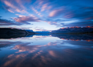 Why petitions are (almost always) a staggering waste of time