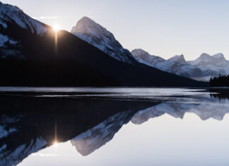 Limited Edition Archive