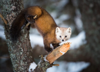 Ontario In Person Experiences