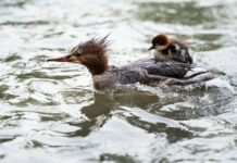 Focus on What Matters the Most to You