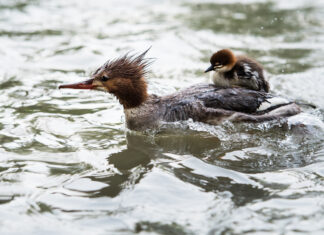 Focus on What Matters the Most to You