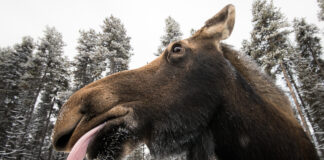 What To Do When You Don’t Understand Something