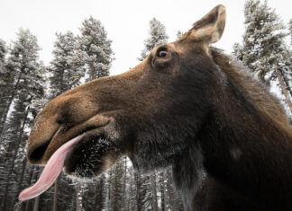 What To Do When You Don’t Understand Something