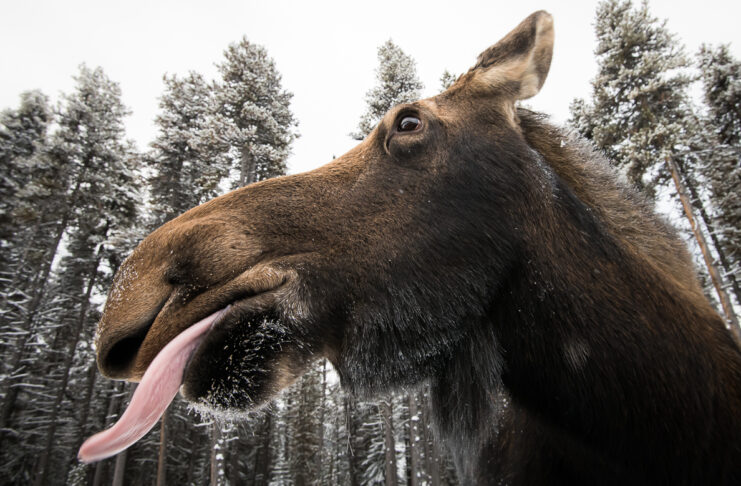 What To Do When You Don’t Understand Something