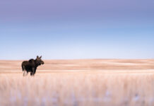 How ignorance makes us cocky