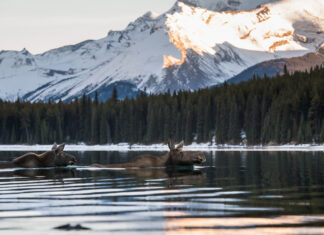 Good Stewards – Our Role in Taking Care of our Community