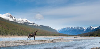 Canada at a Crossroads Chapter 2: Science