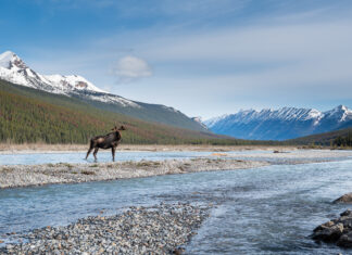Canada at a Crossroads Chapter 2: Science