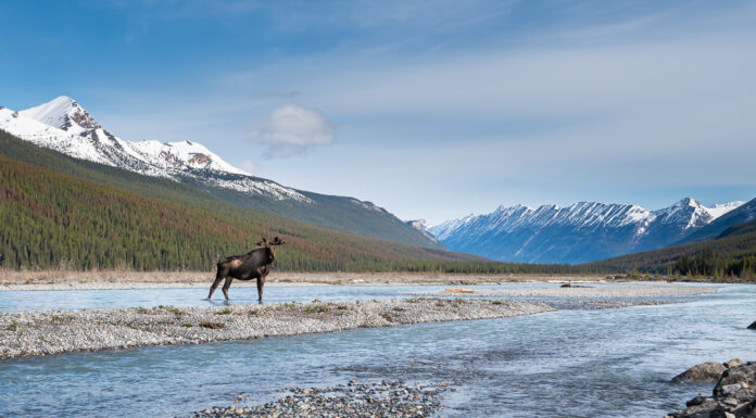 Canada at a Crossroads Chapter 2: Science