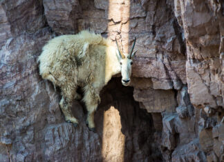 Please stop telling me to leave my comfort zone