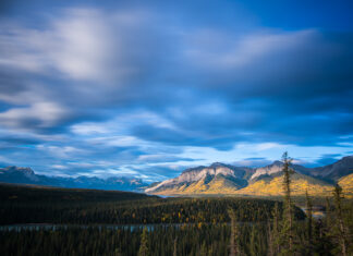 Maggie Rogers Reintroduces Herself