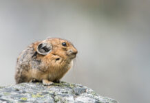 The New Science of How to Argue—Constructively