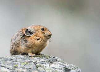 The New Science of How to Argue—Constructively