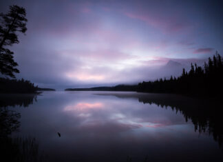 When Scientists “Discover” What Indigenous People Have Known For Centuries