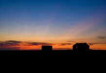 21 Things You May Not Have Known About The Indian Act