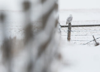 Understanding Different Views