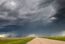 Jane Goodall: ‘You have to be prepared to compromise’