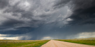 Jane Goodall: ‘You have to be prepared to compromise’