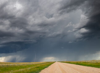 Jane Goodall: ‘You have to be prepared to compromise’