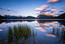 Alberta Announces Province-Wide Vote on Immigration Policy