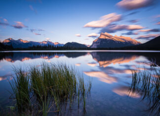 Alberta Announces Province-Wide Vote on Immigration Policy