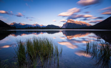 Alberta Announces Province-Wide Vote on Immigration Policy