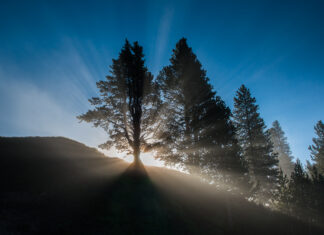 Should we set aside half for nature?