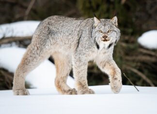 My relationship with nature: It’s complicated