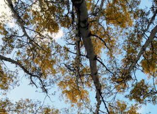 Explaining your world, today: Week of October 14th