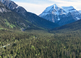 Robson Valley Sustainable Resource Management Plans