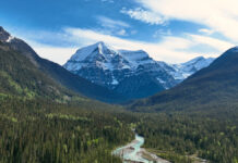 How the Conservatives’ brief love affair with environmentalism came to an ugly end