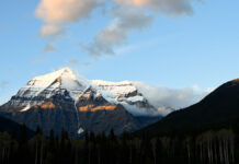 Are there two different versions of environmentalism, one “white,” one “black”?