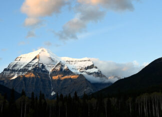 Are there two different versions of environmentalism, one “white,” one “black”?