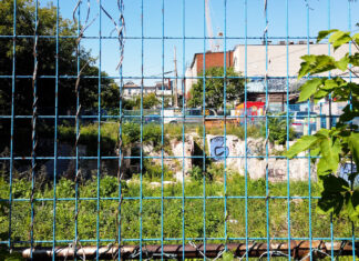 Could Toronto and the GTA be a National Park City? One U.K. ‘guerrilla geographer’ thinks so