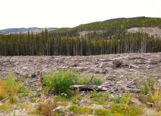 Canada Investment Network