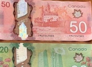 How to preserve nature on a tight budget