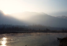 The greatest weakness in Western democracies is us