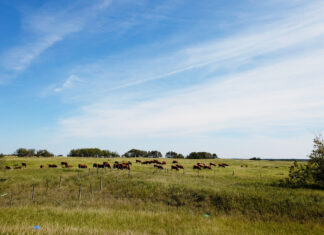 Is there an urban-rural divide in Canada?