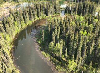 Wild Ways: Corridors of Life